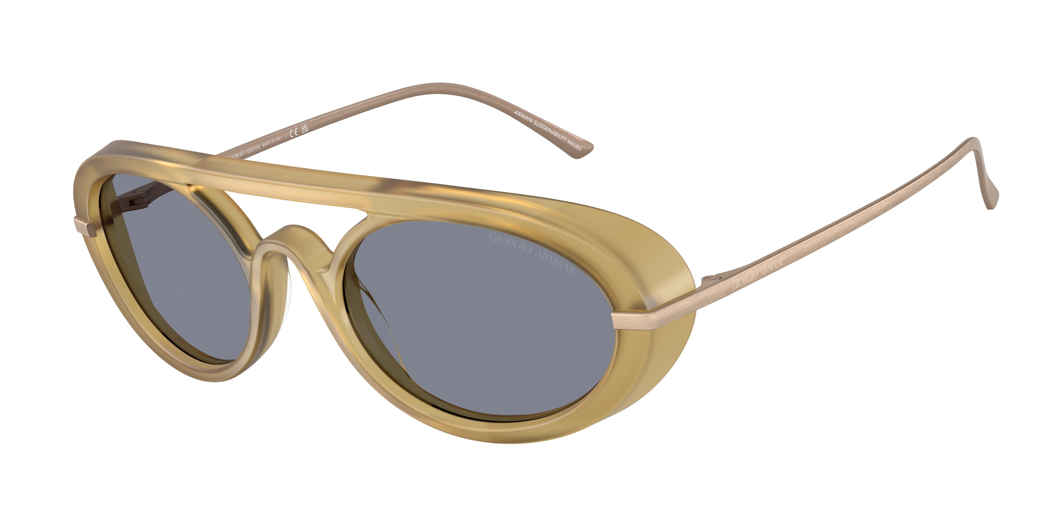 Giorgio Armani AR8256 641119  